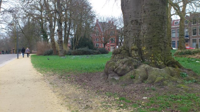Pre-spring in town II